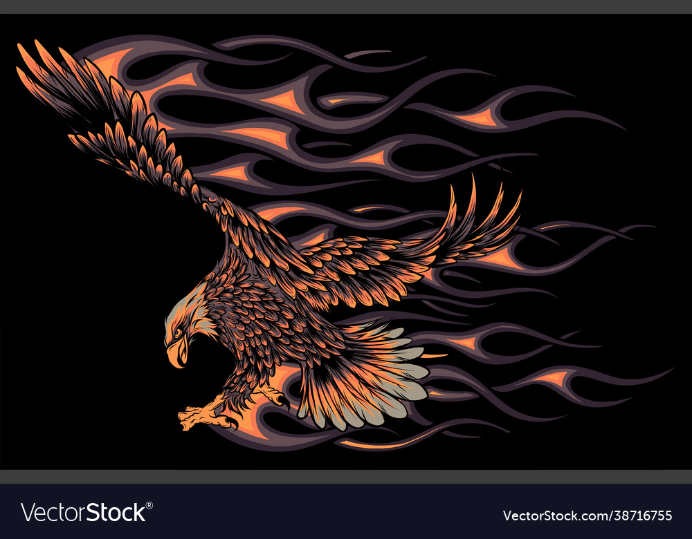 Flaming eagle on black background Royalty Free Vector Image