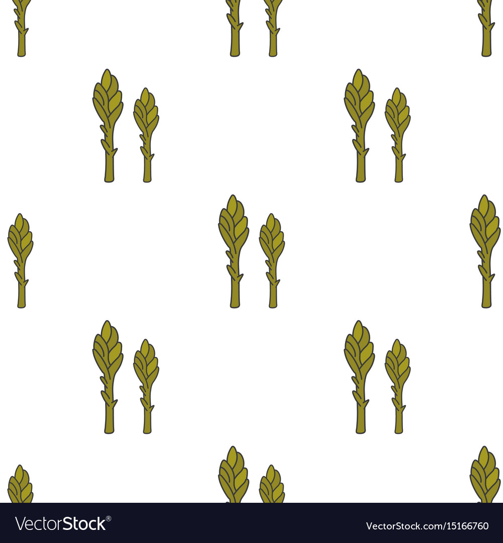 Asparagus hand drawn on white background Vector Image