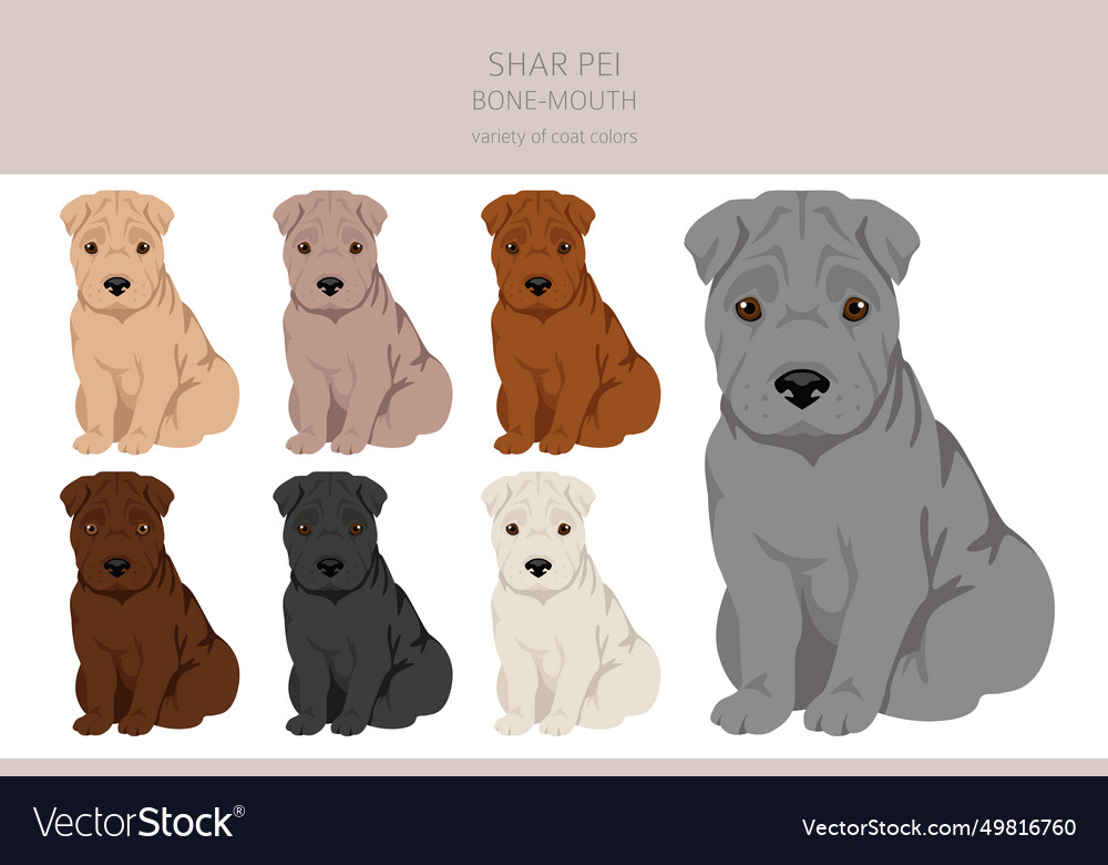 Shar pei bone mouth puppies clipart different Vector Image