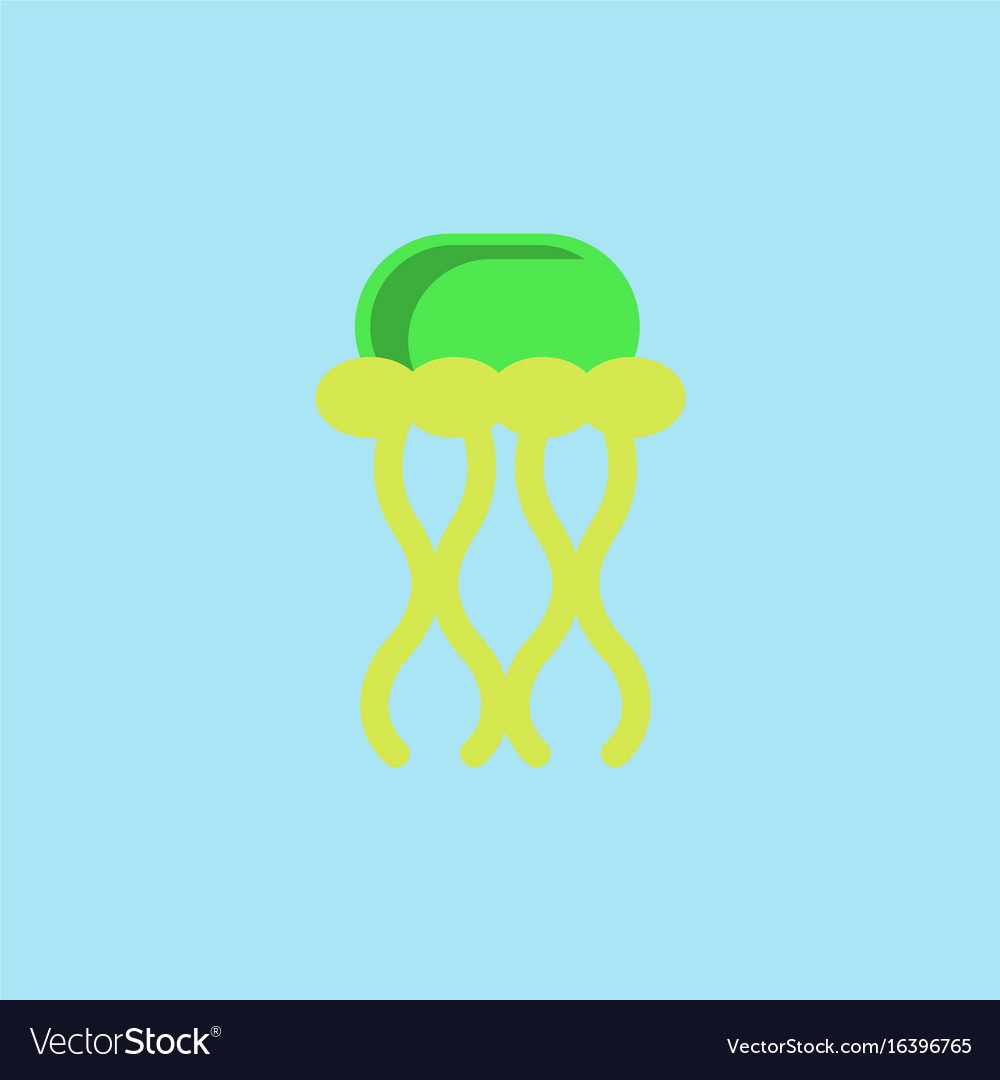 Jellyfish