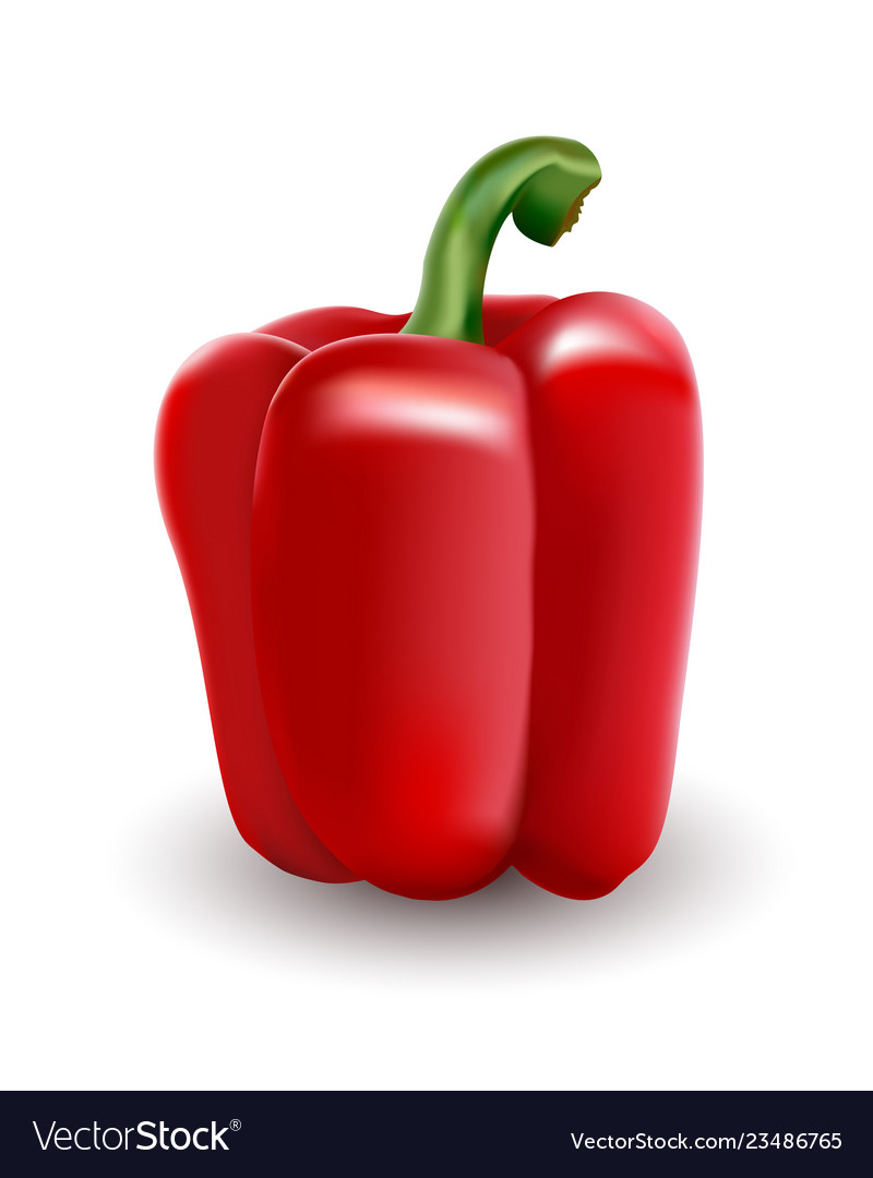 Red bell pepper paprika executed in a realistic