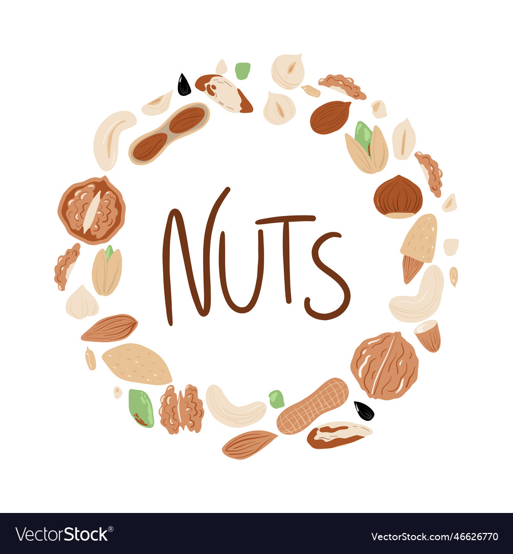 Big set of nuts and seeds in circle form various Vector Image Big set of nuts and seeds in circle form various