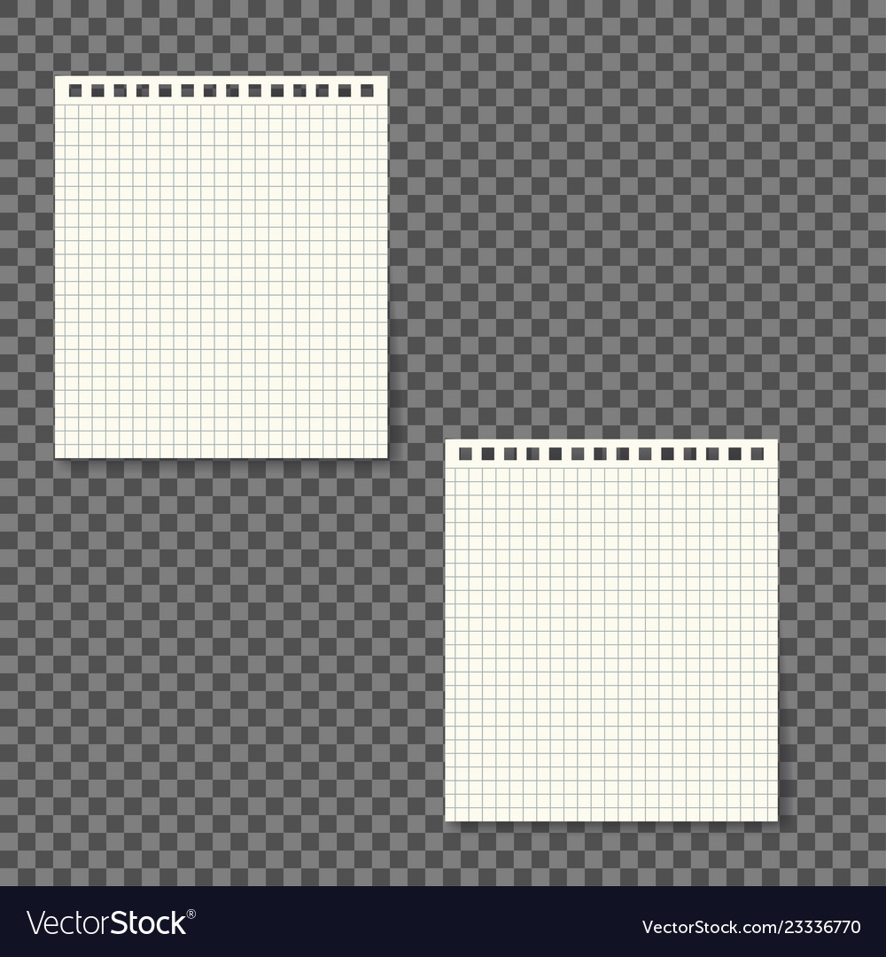 Notebook paper with lines isolated on background Vector Image Notebook paper with lines isolated on background