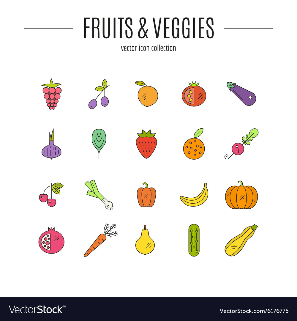 paleo-food-royalty-free-vector-image-vectorstock