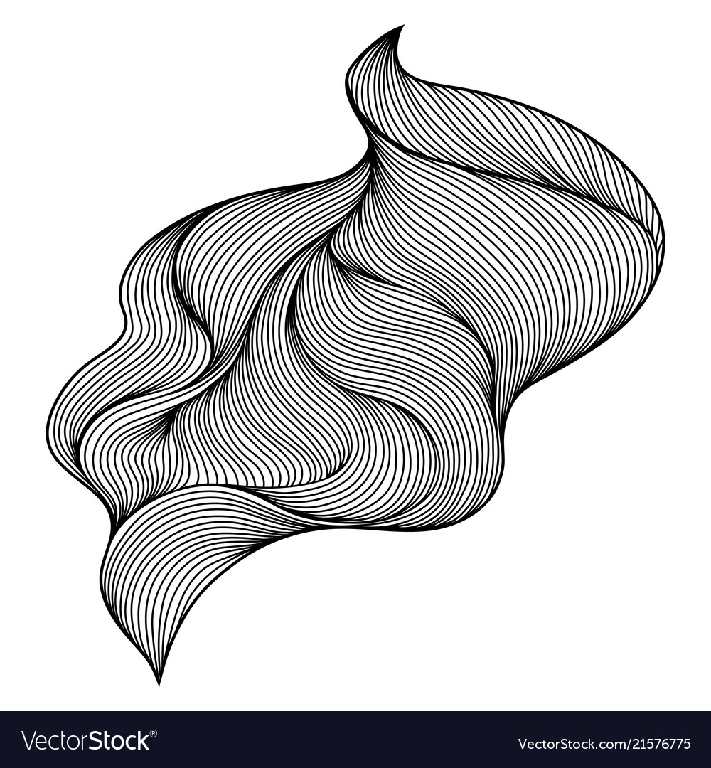 Wave hair line curl Royalty Free Vector Image - VectorStock