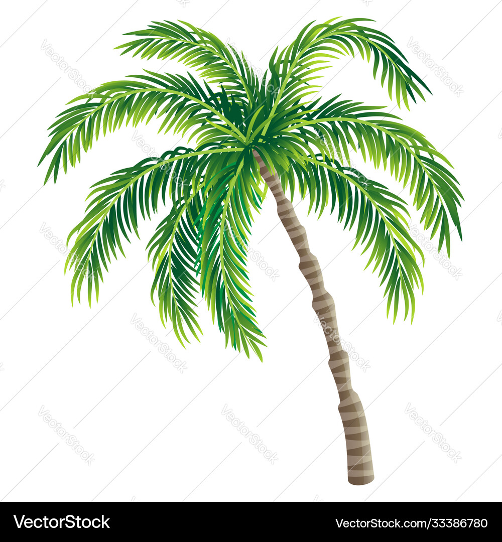 Stunning Free Palm Tree Vector Photos