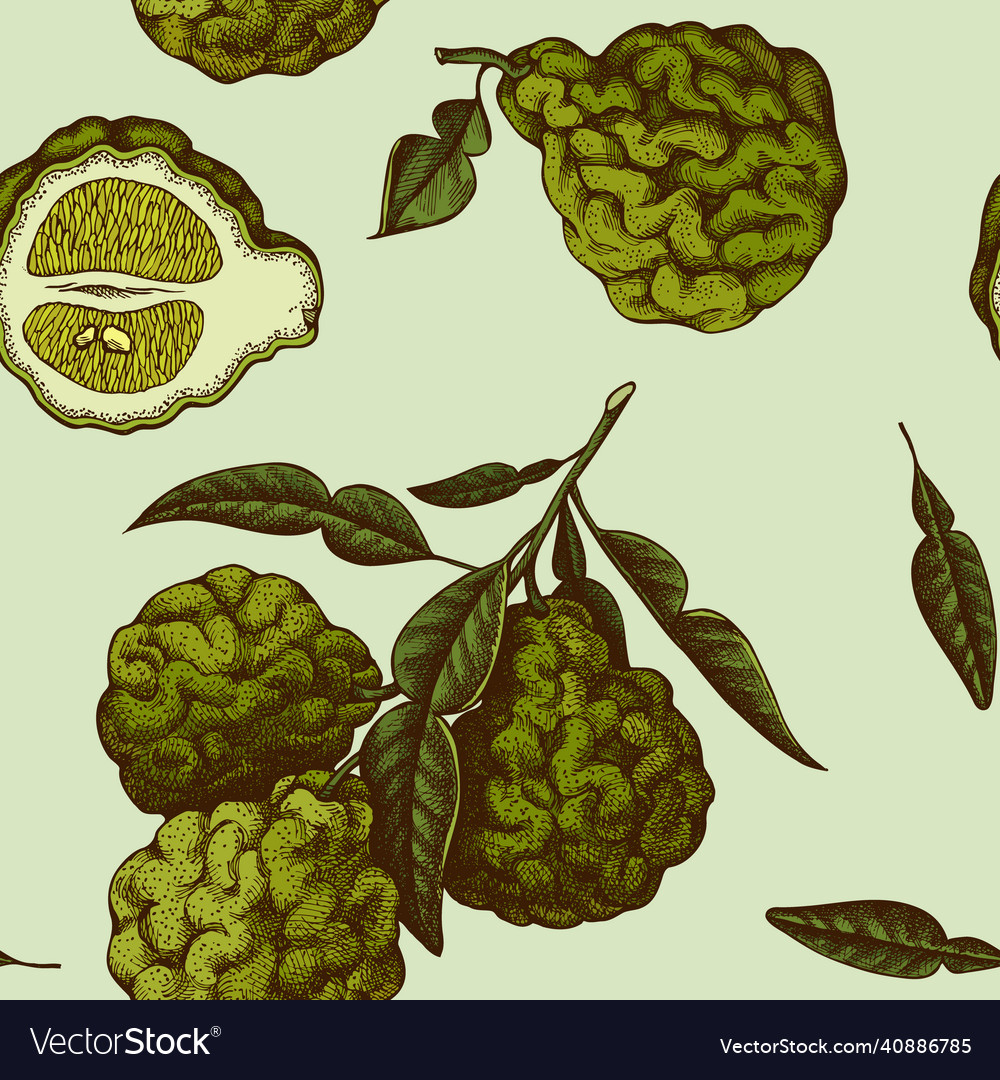 Citrus seamless pattern background design