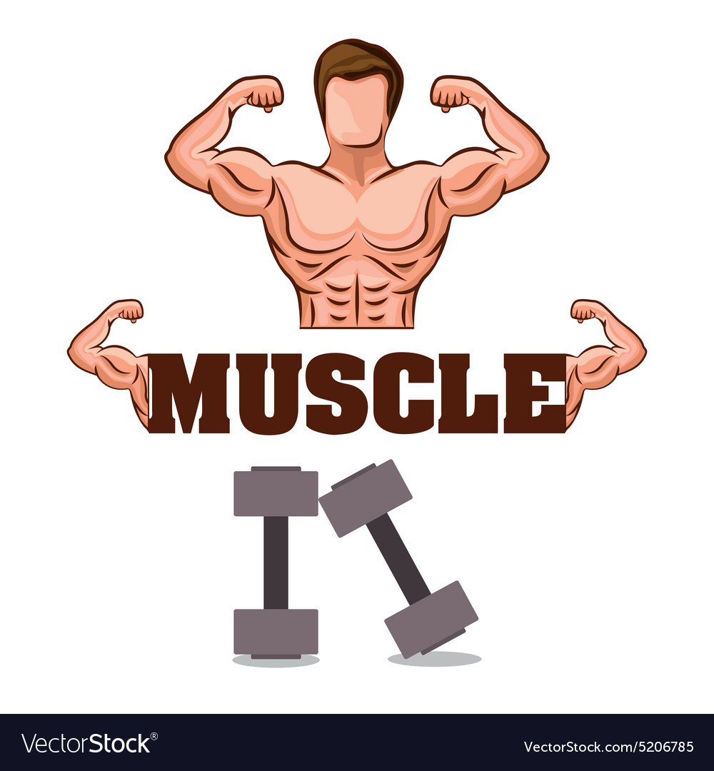 Gym design Royalty Free Vector Image - VectorStock