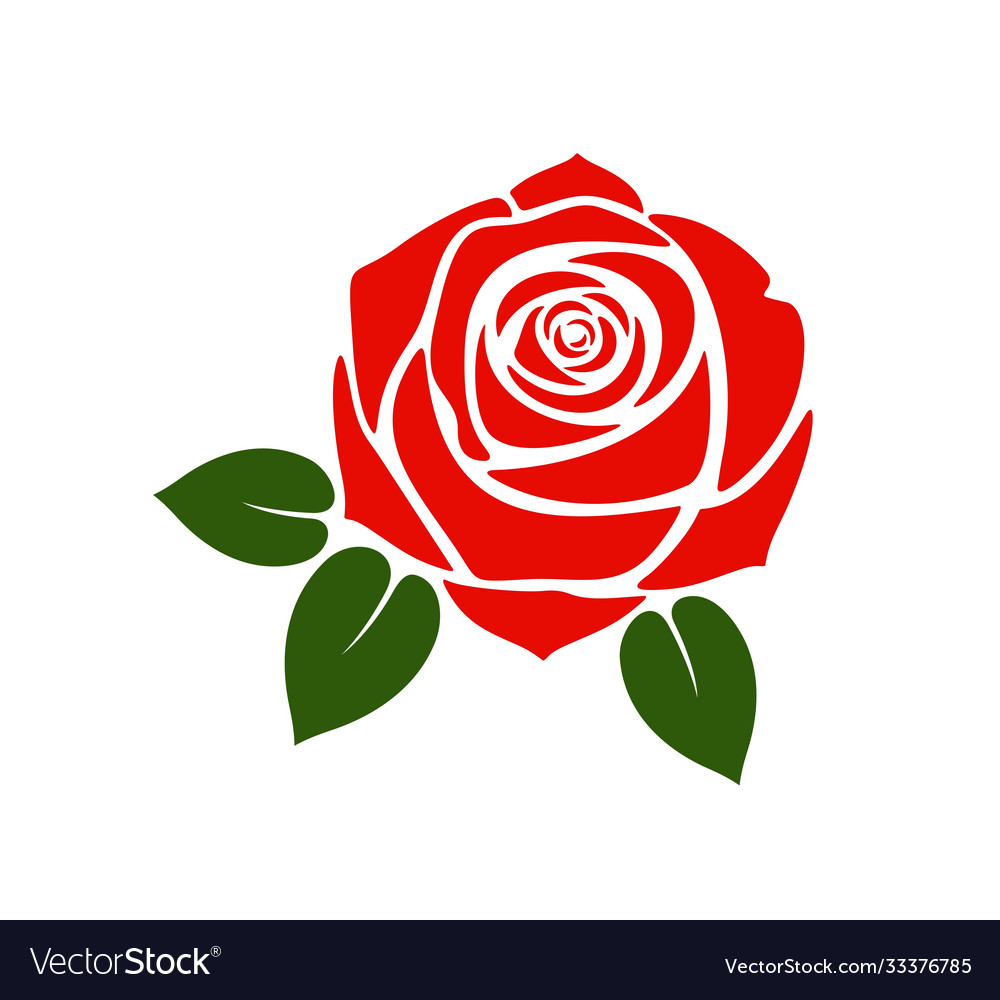 Rose Royalty Free Vector Image - VectorStock