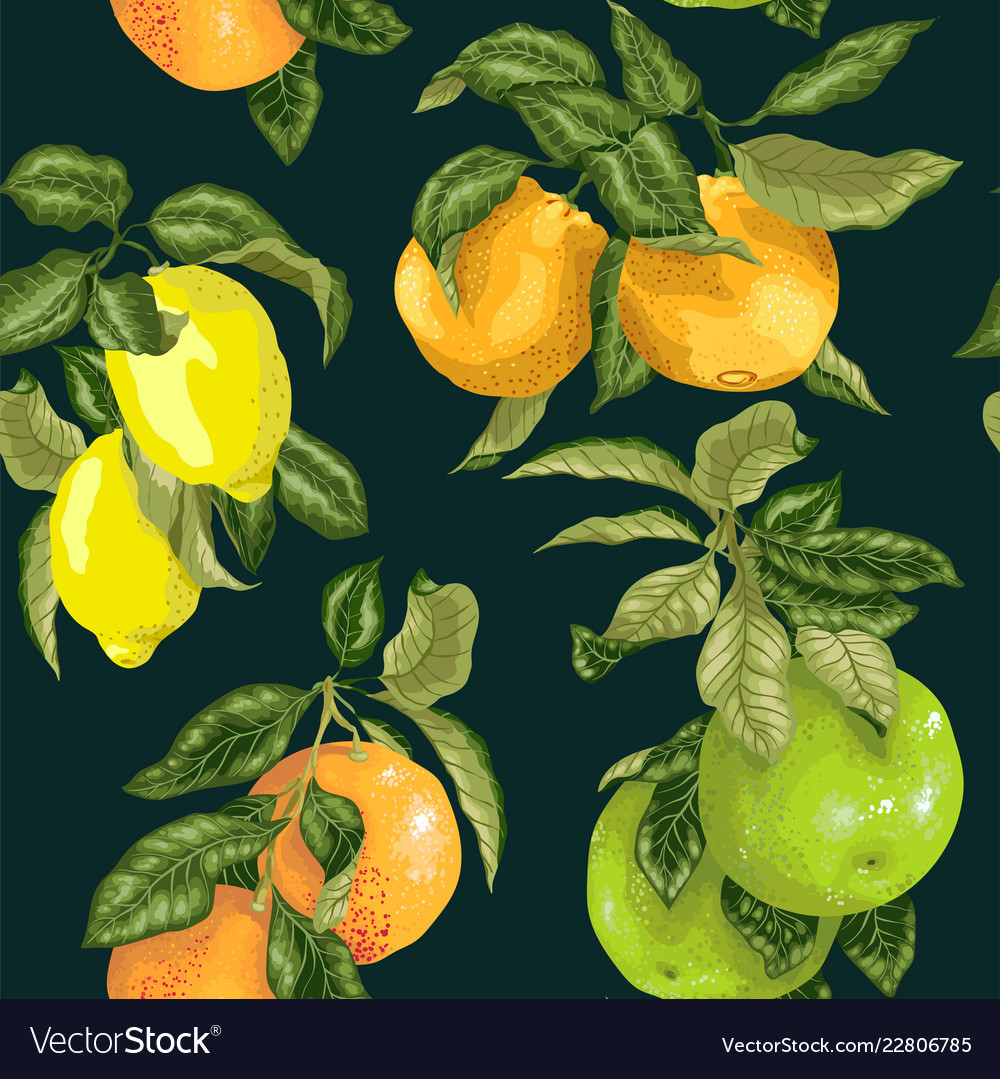 Seamless pattern in realistic with pomelo orange