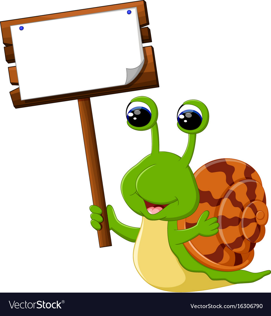 Cute snail cartoon