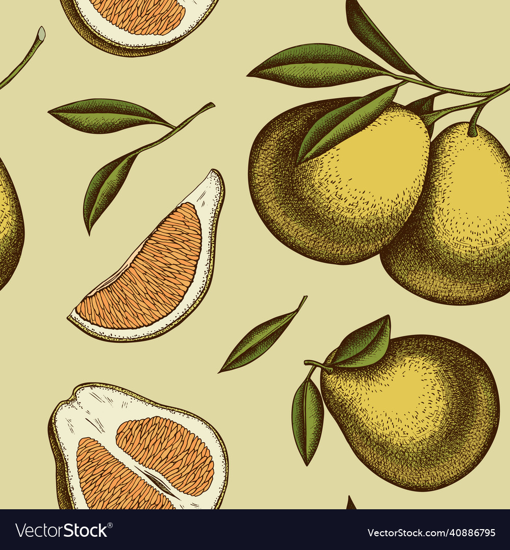 Citrus seamless pattern background design