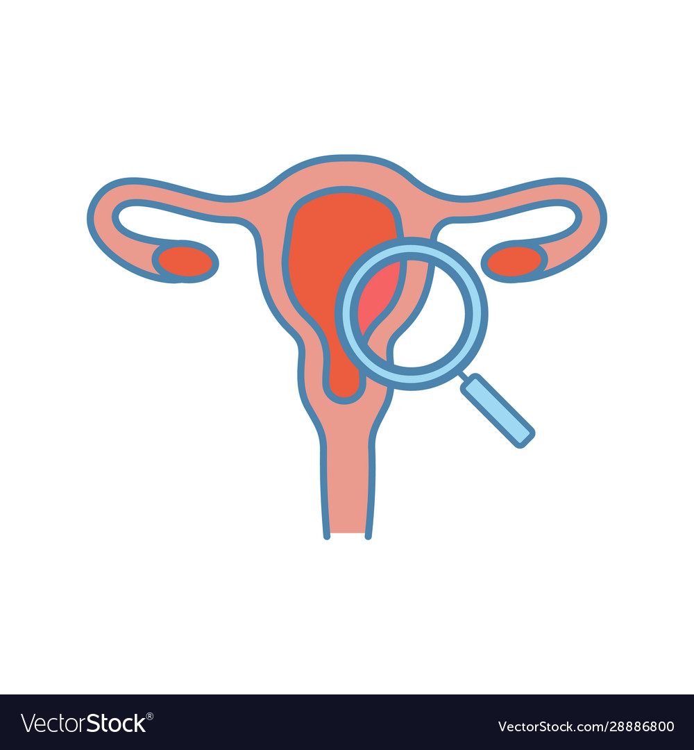 Gynecological exam color icon