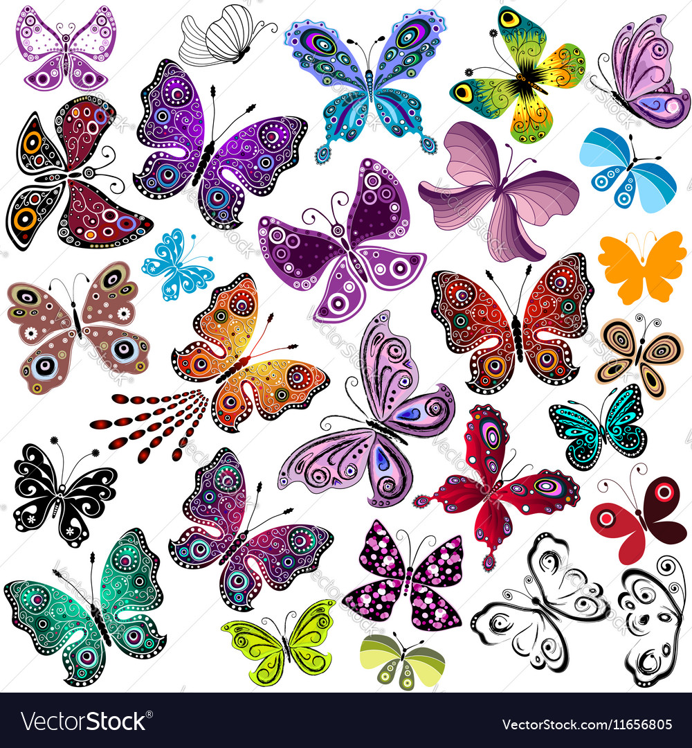 Colorful Butterfly Collection