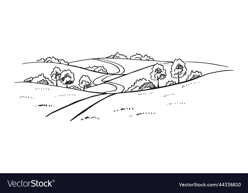 Rural landscape with road and tree hand drawn Vector Image