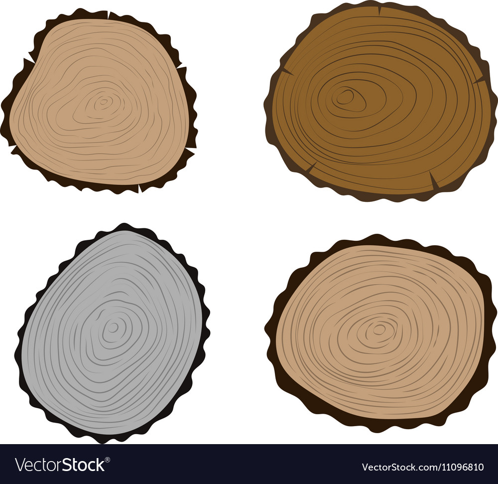 Tree slices isolated