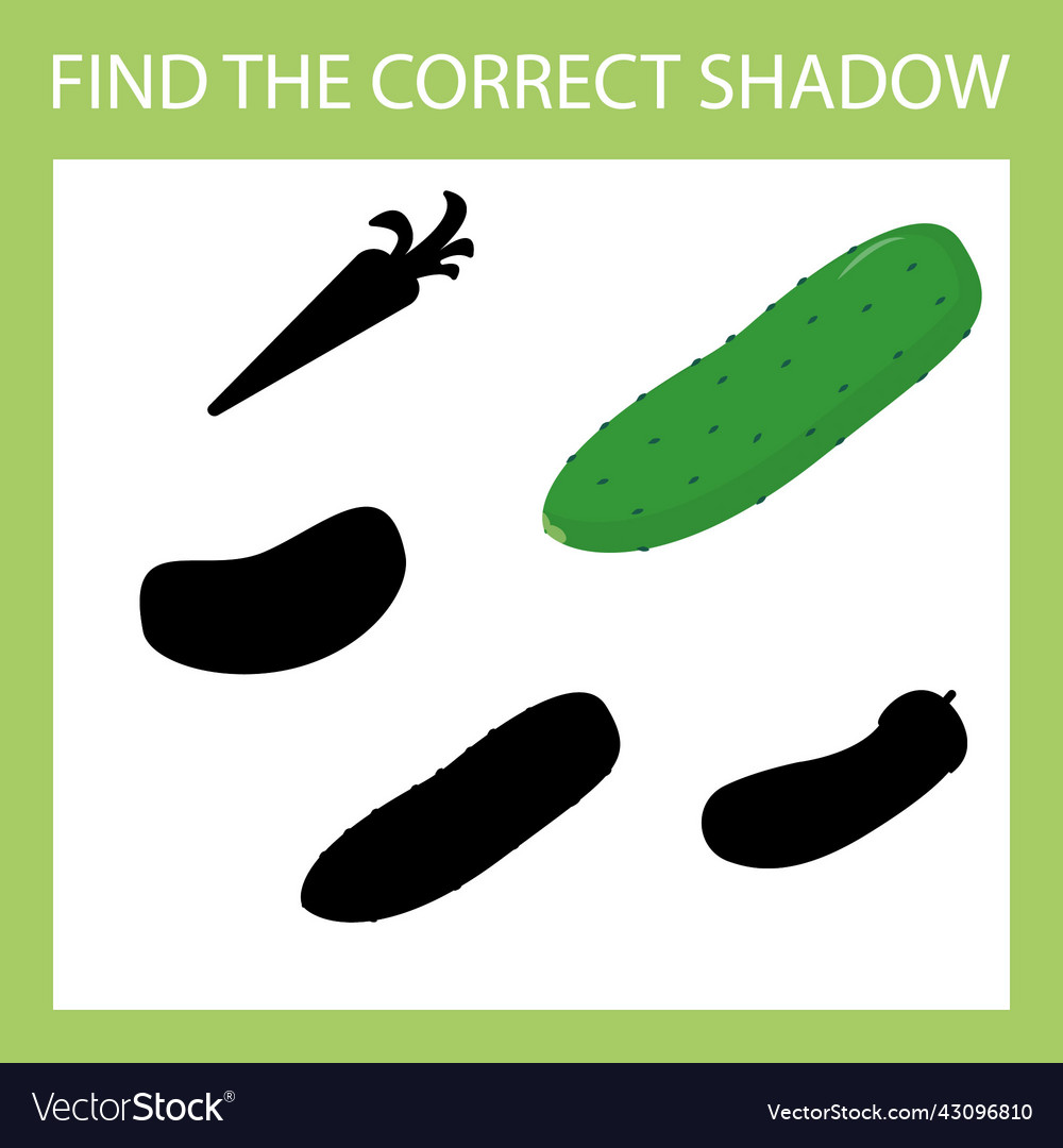 Web Vector Image Web
