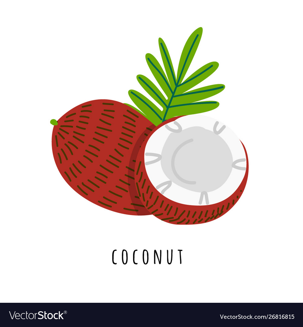 Coconut fruit flat