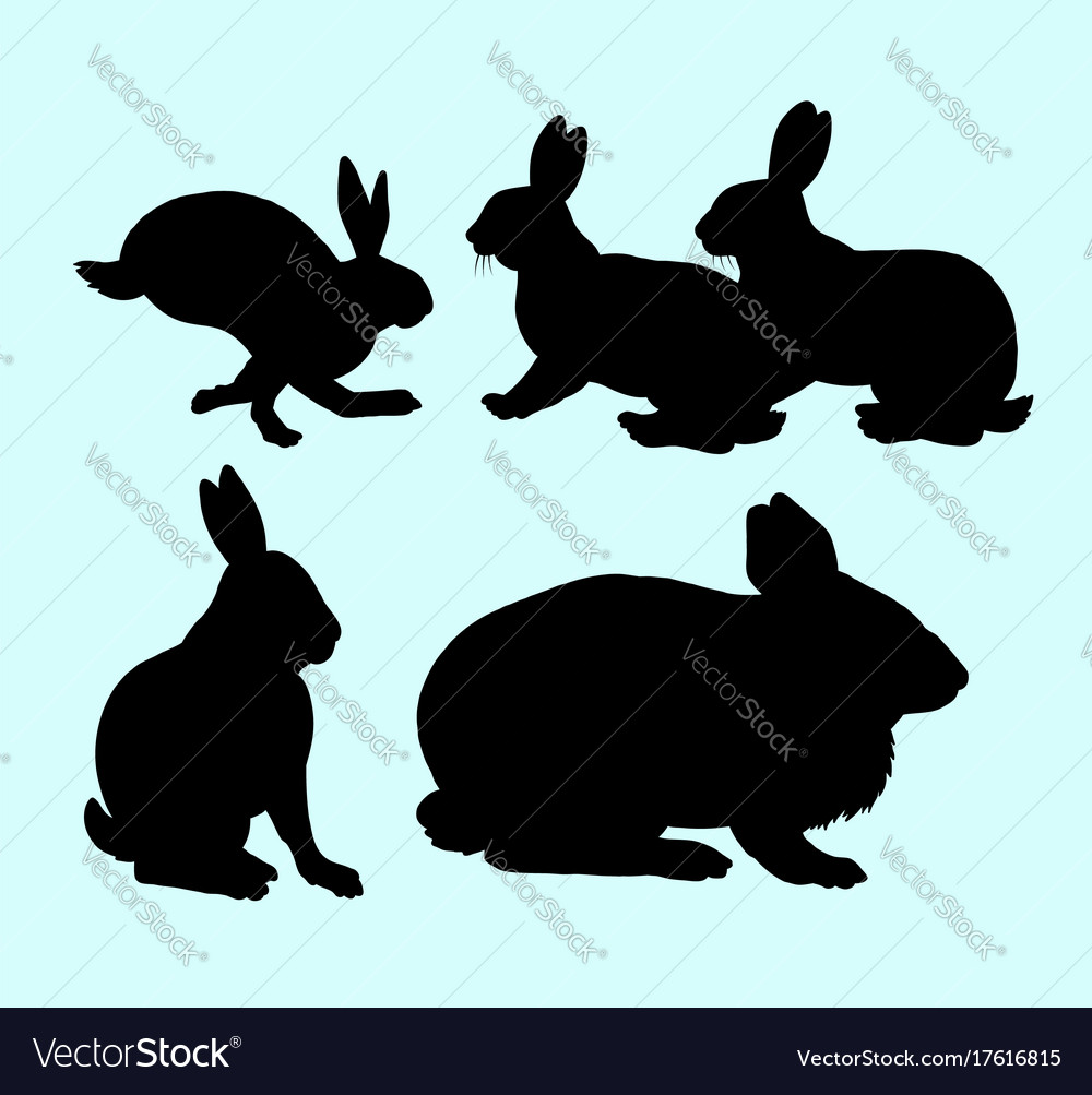 Rabbit pet animal action silhouette