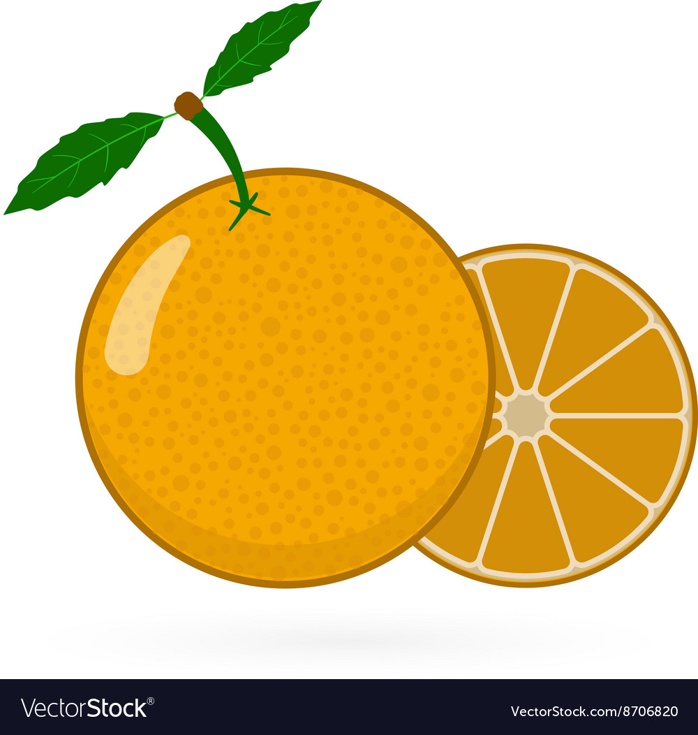 Orange isolated