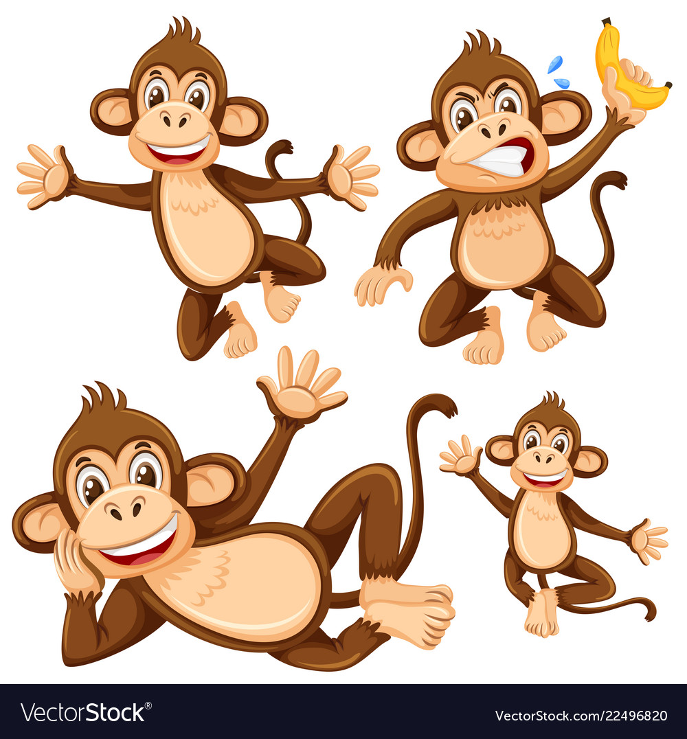 Set of monkey character