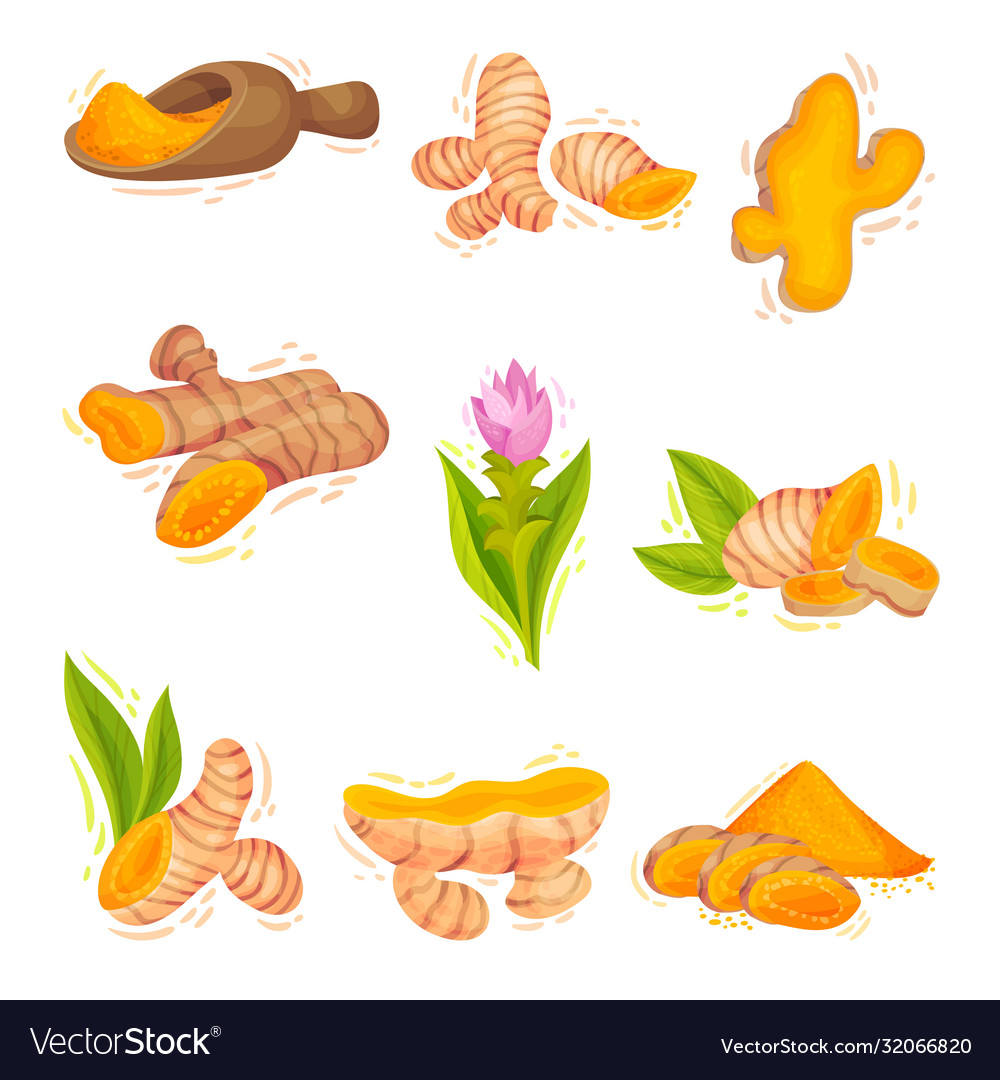 Turmeric Root and Powder