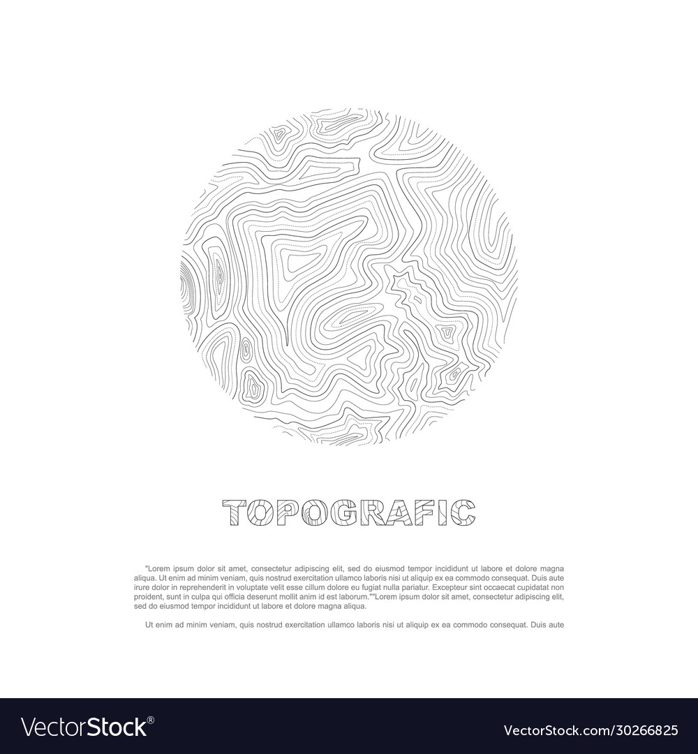 Abstract topographic map in a circle form vector image Abstract topographic map in a circle form