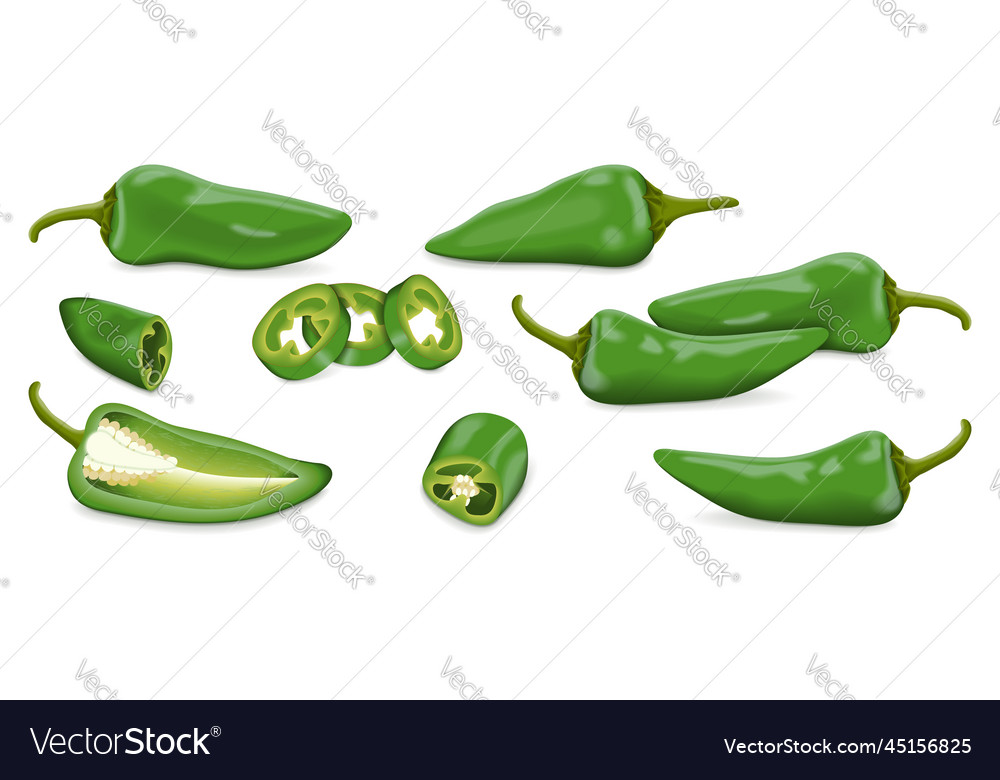 Set Of Green Fresno Chili Peppers Royalty Free Vector Image