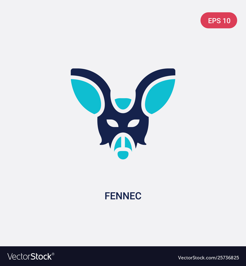 Two color fennec icon from desert concept