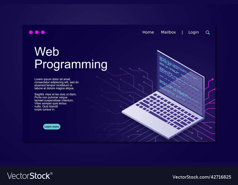 Web programming isometric vector image Web programming isometric