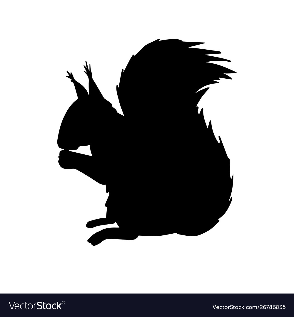 Black squirrel silhouette