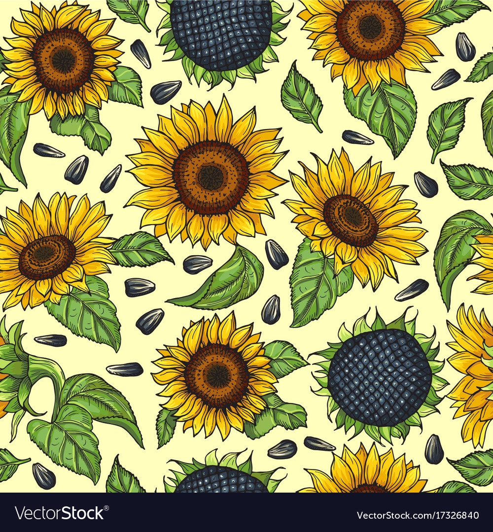 Seamless pattern with yellow sunflowers Royalty Free Vector