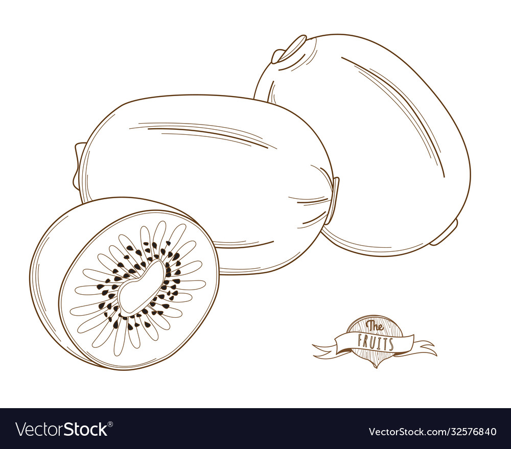 Single Kiwi Outline - Flat Style