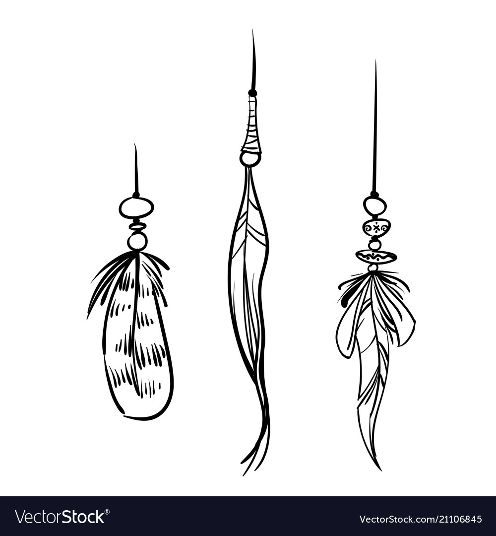 Hand drawn contour feathers hackles of bird