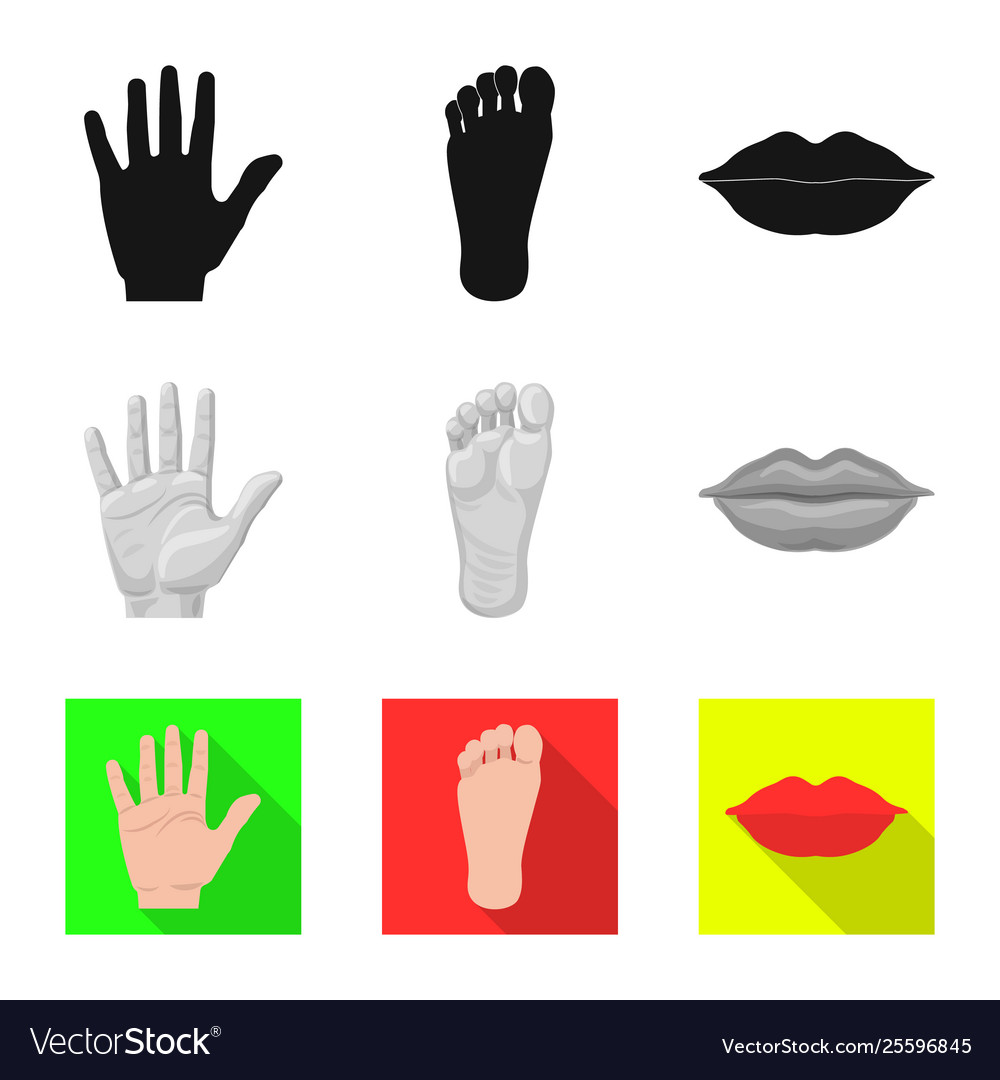 Isolated object human and part logo set vector image Isolated object human and part logo set