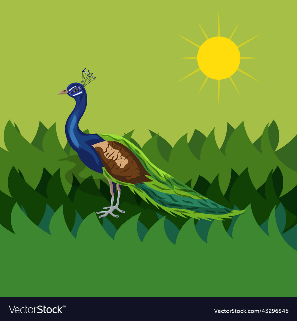 Peacock art