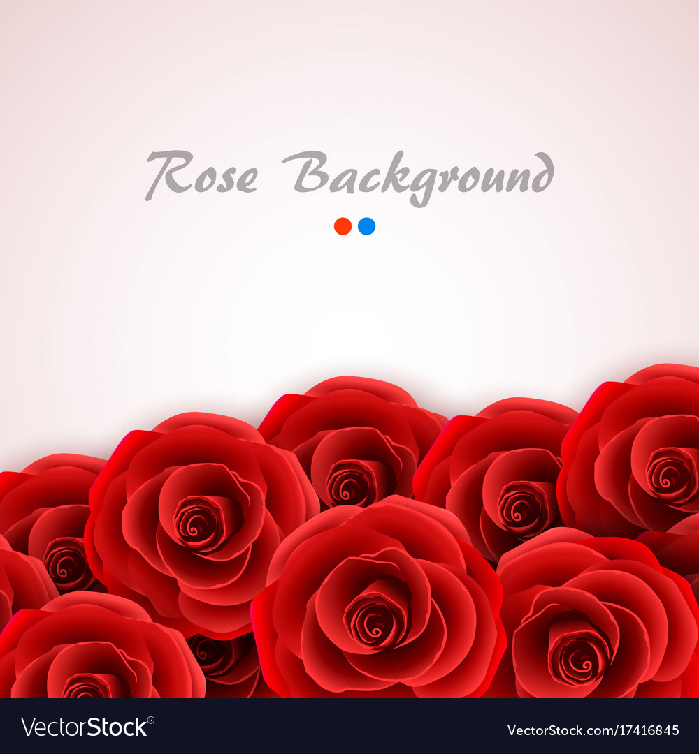 Red roses background rose cover for wedding Vector Image