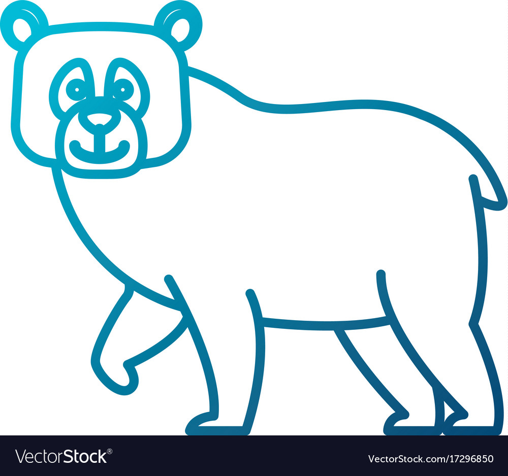 Bear cartoon animal