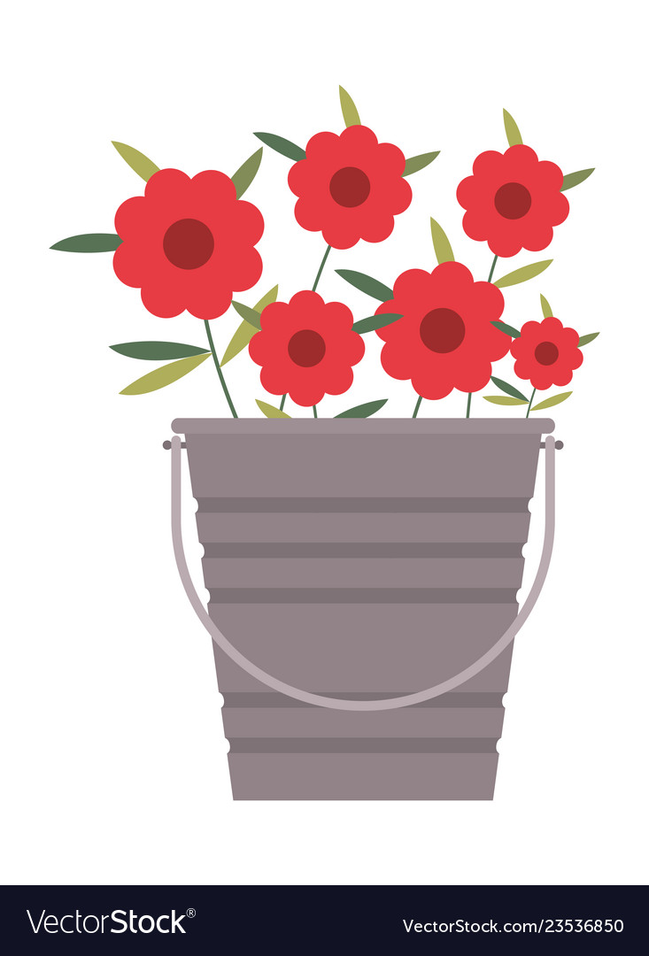 Bucket with beautiful flowers isolated icon Vector Image