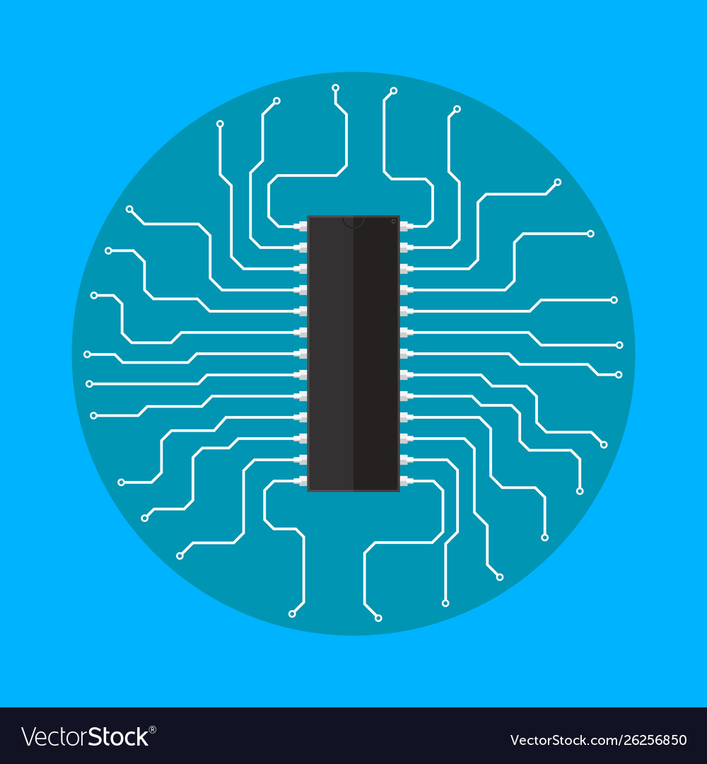Chip with circuit board