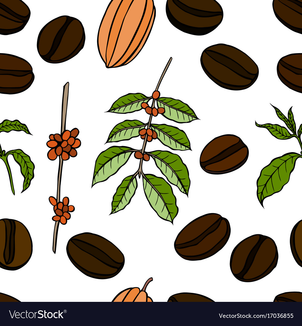 Seamless pattern of cocoa beans