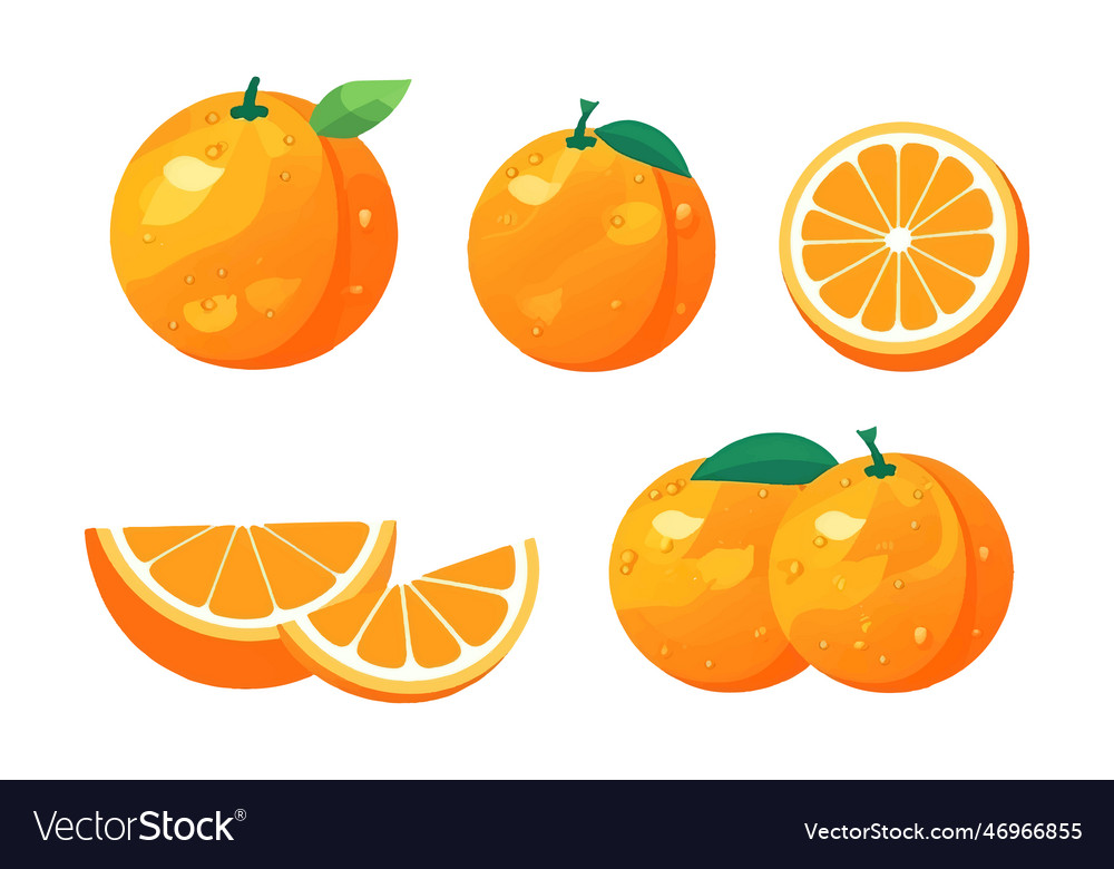 Set of ripe orange isolated