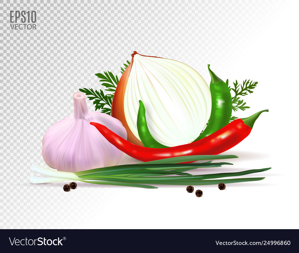 Garlic pepper and onion vegetables with parsley Vector Image