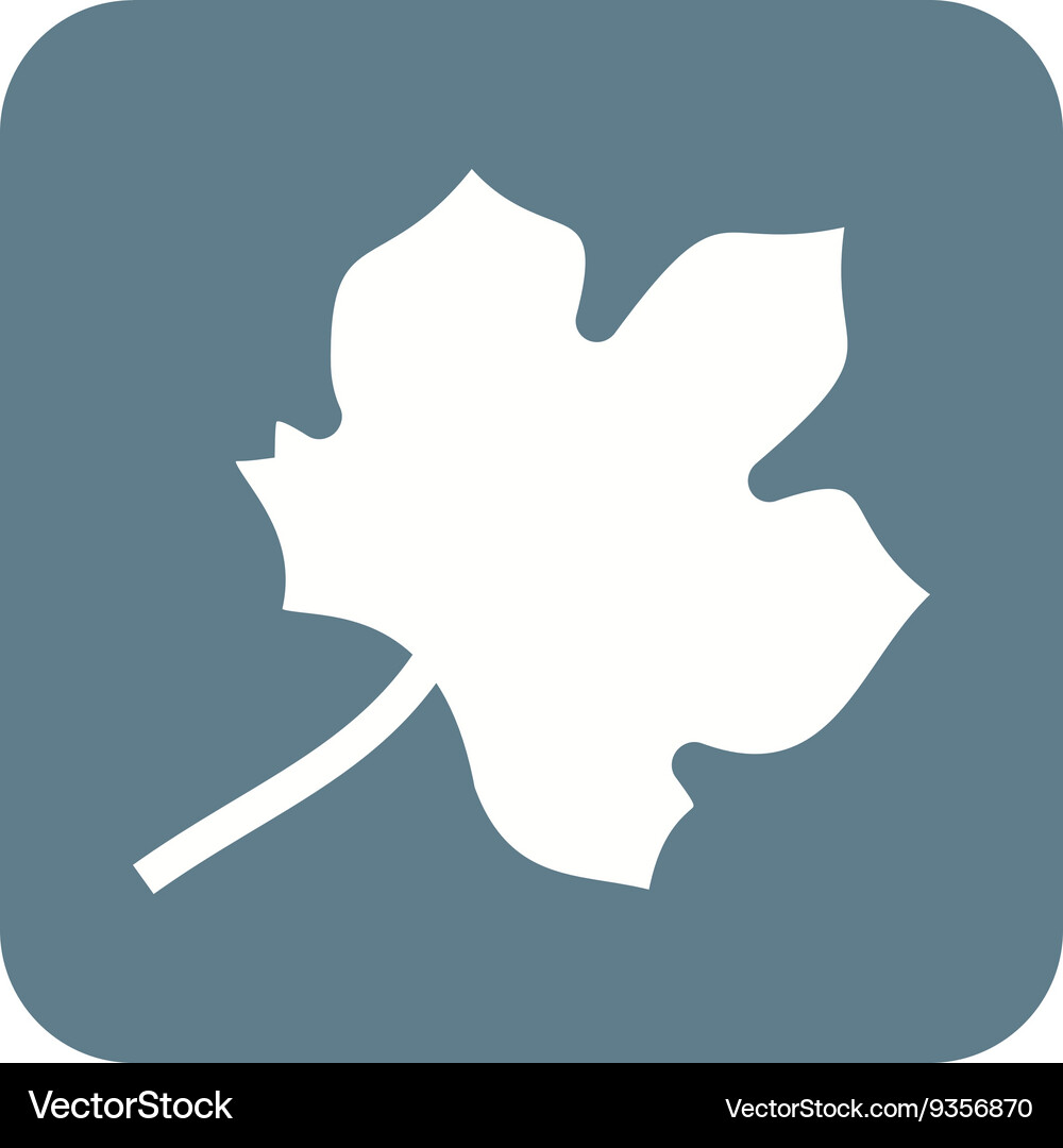 Autumn leaf Royalty Free Vector Image - VectorStock