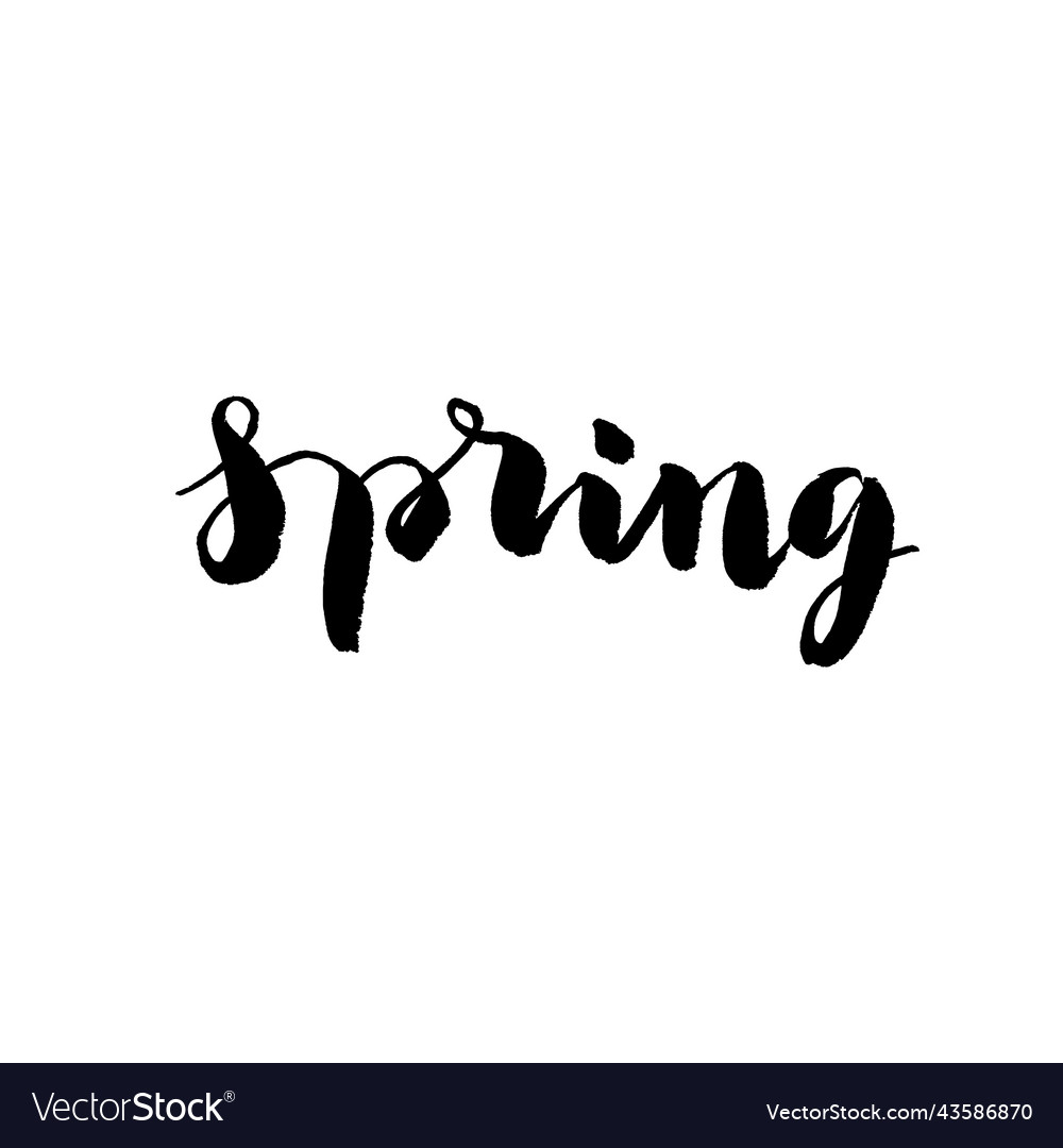 Hand drawn word - spring Royalty Free Vector Image