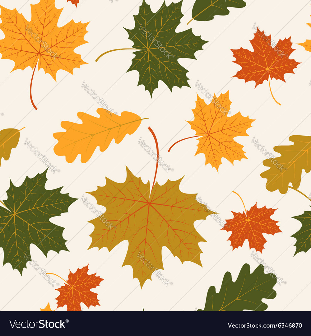 Seamless with autumn maple and oak leaves Vector Image