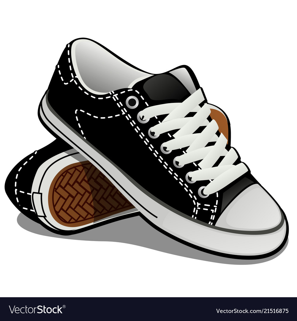 A pair of sneakers with white laces isolated Vector Image