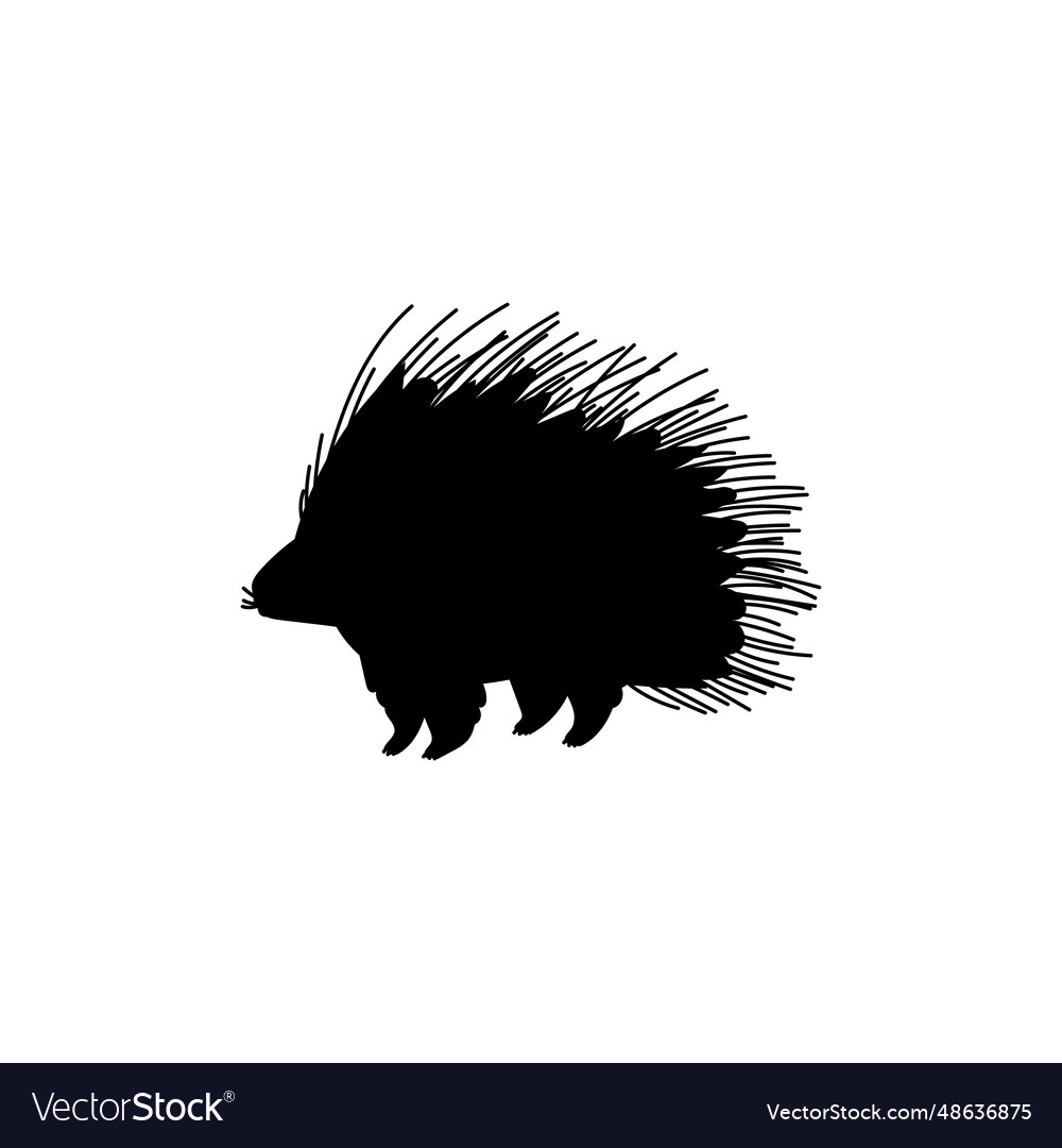 Porcupine with long spines on back black Vector Image