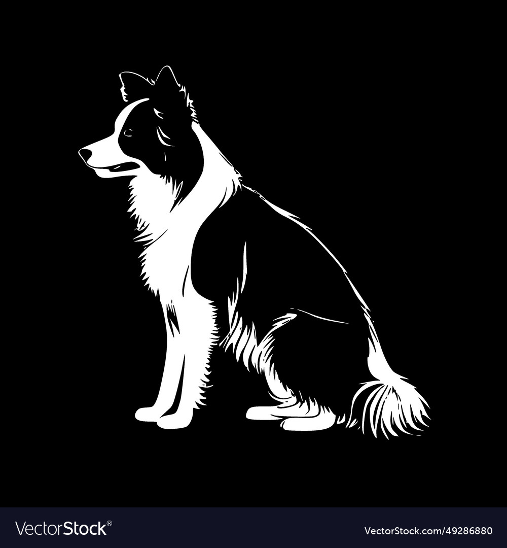 Border collie - high quality logo ideal