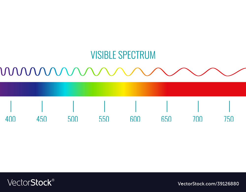 Color spectrum infographics Royalty Free Vector Image